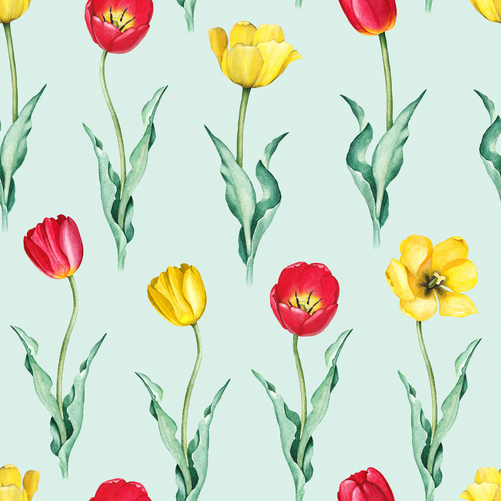 Tulipán květy. Akvarel bezešvé vzor - Fotografie, Obrázek