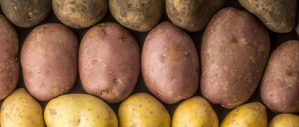 Syrové brambory smíchejte pozadí celé obrazovky - Fotografie, Obrázek