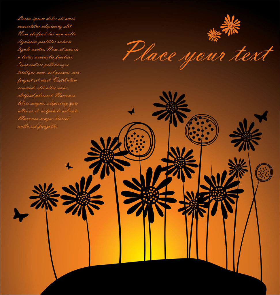 Sunset background - Vector, Image