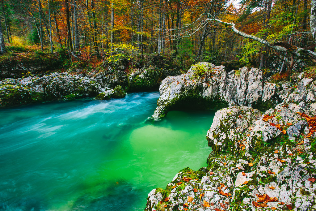 Amazing view of the river Mostnica - Photo, Image