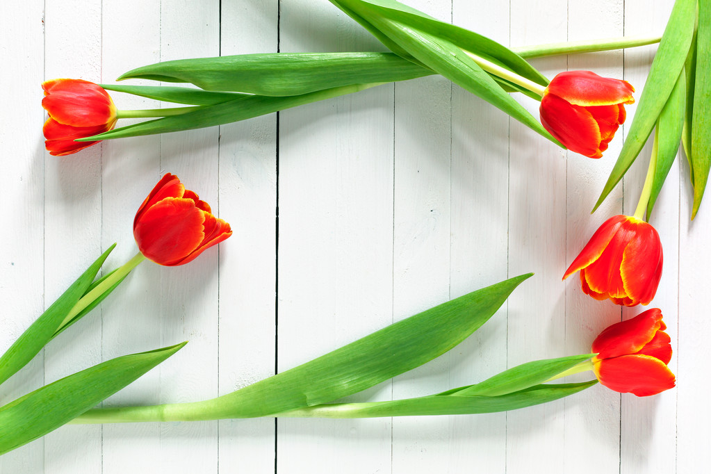 Kleurrijke tulip boeket en lege wenskaart. Bovenaanzicht over witte houten tafel - Foto, afbeelding