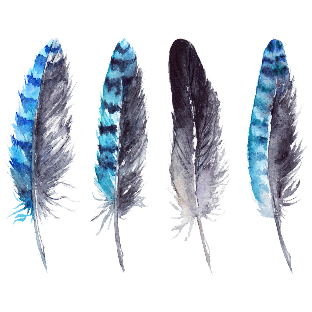 Акварель черный и синий соевый набор перьев изолирован
 - Фото, изображение