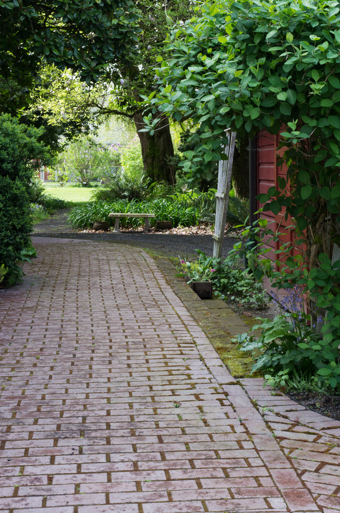 舗装の庭のパス ウィット hshrubs - 写真・画像