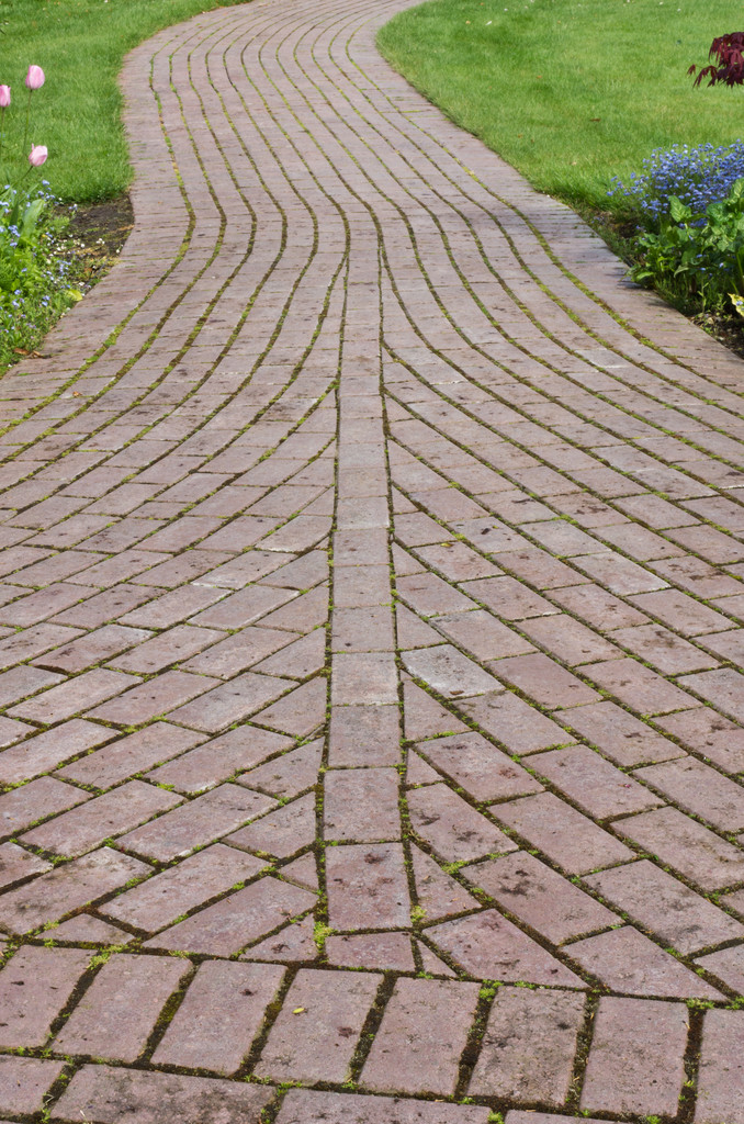 Geschlungener gepflasterter Gartenweg - Foto, Bild