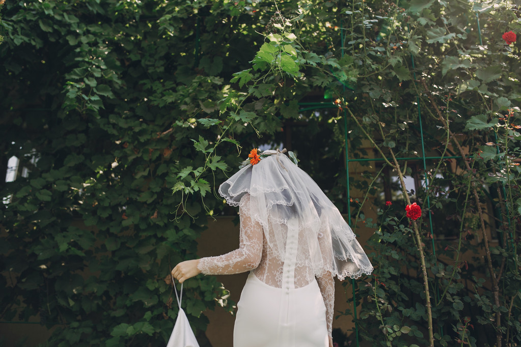 nevěsta s korunou - Fotografie, Obrázek