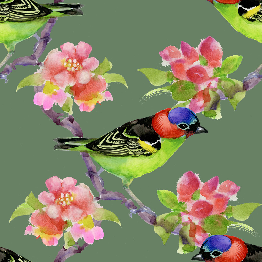 Pássaro no ramo de árvore florescente
 - Foto, Imagem