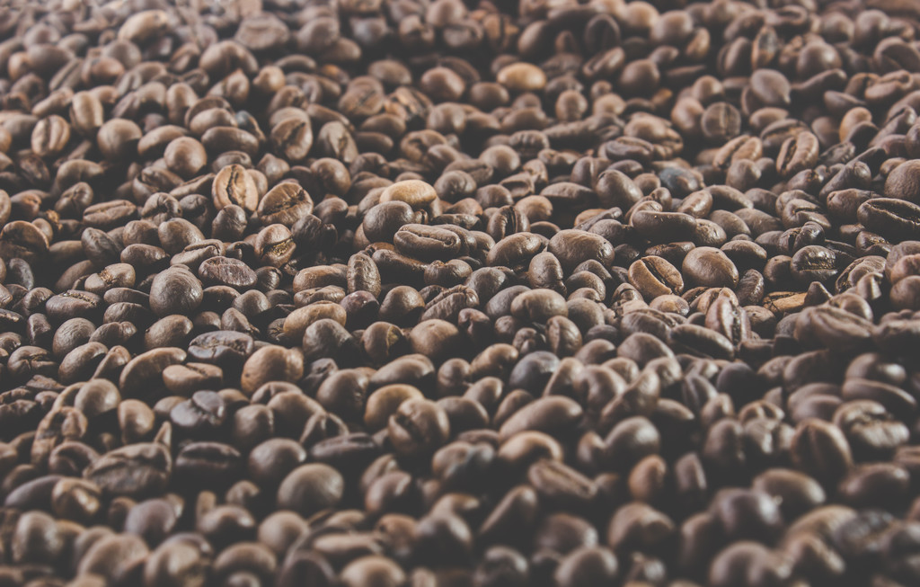 焙煎コーヒー豆 - 写真・画像