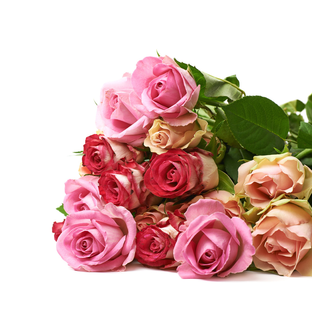 Montón de flores de rosas aisladas
 - Foto, imagen