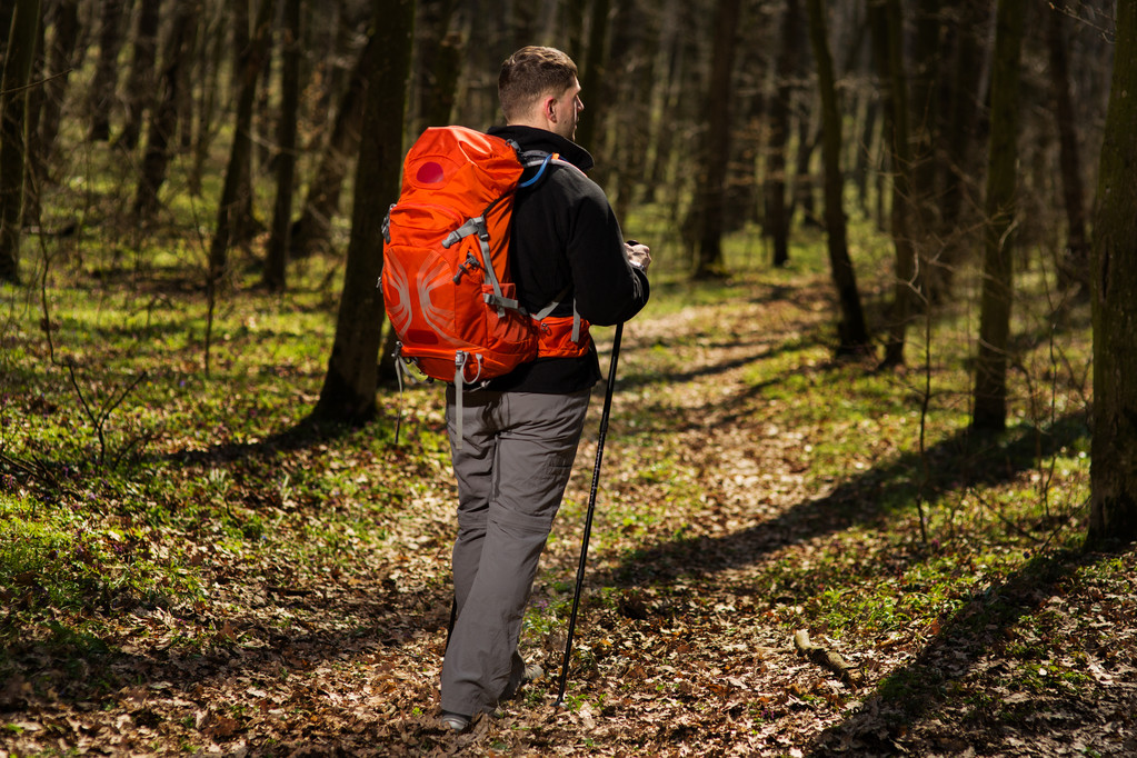 hombre sano activo senderismo en hermoso bosque - Foto, Imagen