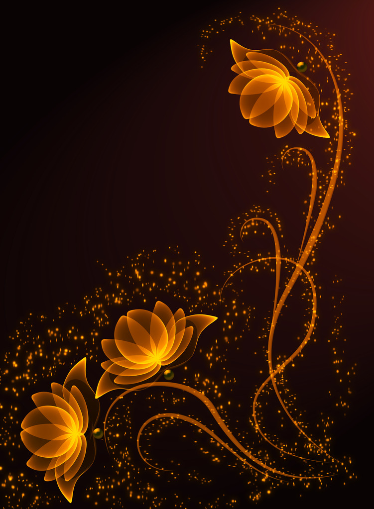 Transparent flowers - Photo, Image
