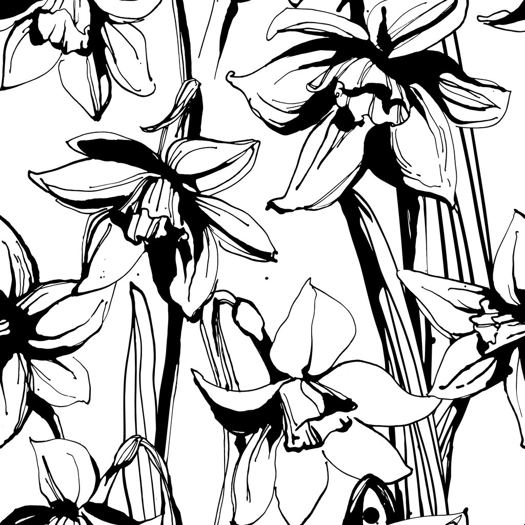 Fiore floreale narciso senza soluzione di continuità disegno a mano. Nero e bianco
 - Vettoriali, immagini