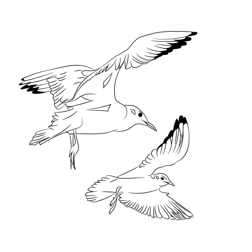 Zwart en wit Cartoon vectorillustratie van meeuwen vliegen voor kleuren boek - Vector, afbeelding