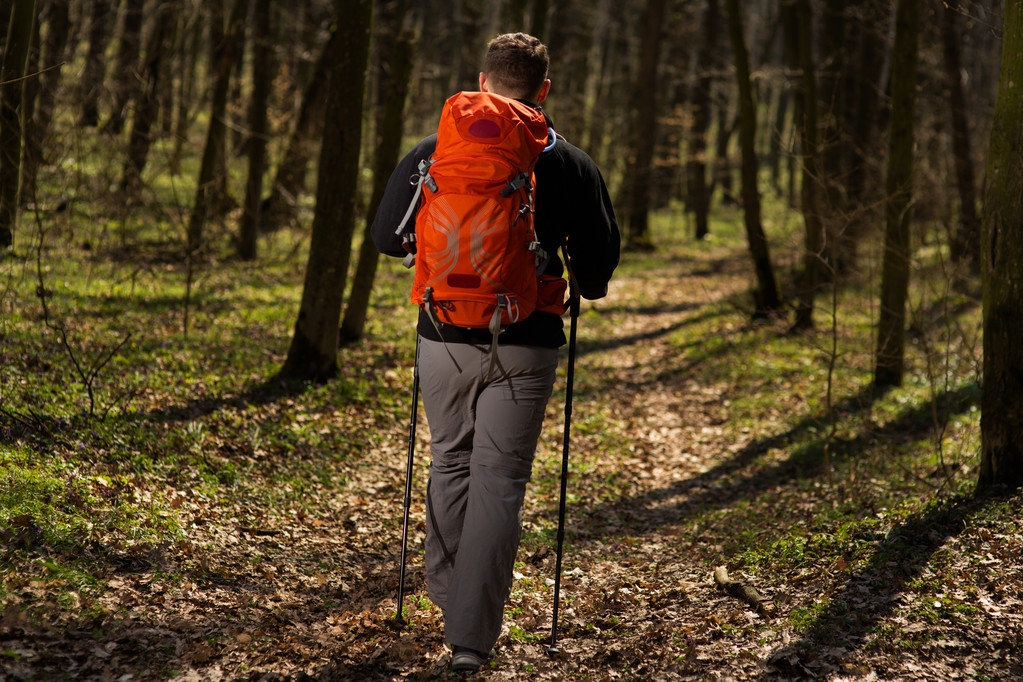 Αρσενικό πεζοπόρος κοιτάζοντας προς την πλευρά περπατώντας στο δάσος - Φωτογραφία, εικόνα