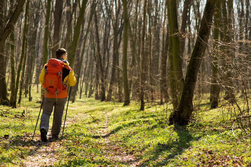 Αρσενικό πεζοπόρος κοιτάζοντας προς την πλευρά περπατώντας στο δάσος - Φωτογραφία, εικόνα