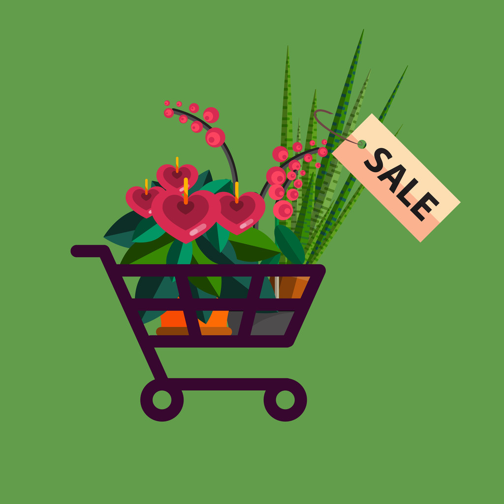 Florist shop.Shopping cart with plants.Flower store flat design. - Vector, Image