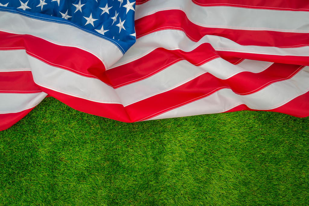 Американський прапор на траві - Фото, зображення