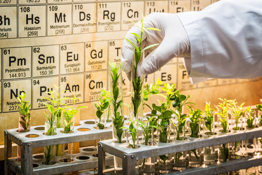 Pharmazeutisches Labor erforscht neue Methoden der Pflanzenheilkunde - Foto, Bild