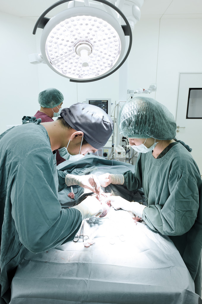 groep van dierenarts chirurgie in operatie kamer  - Foto, afbeelding