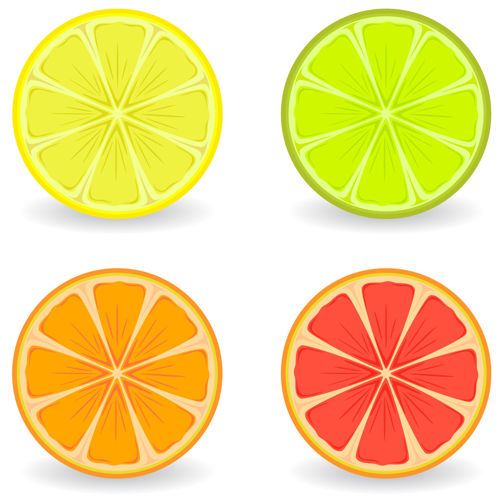 citrusvruchten - Vector, afbeelding