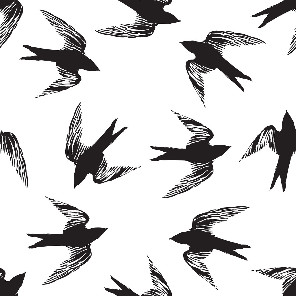 uccello modello bianco e nero
 - Vettoriali, immagini