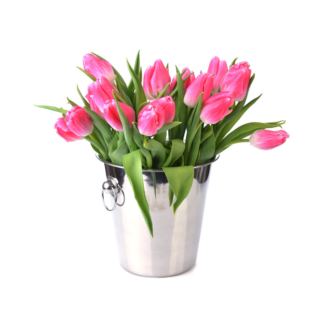 frische rosa Tulpen - Foto, Bild