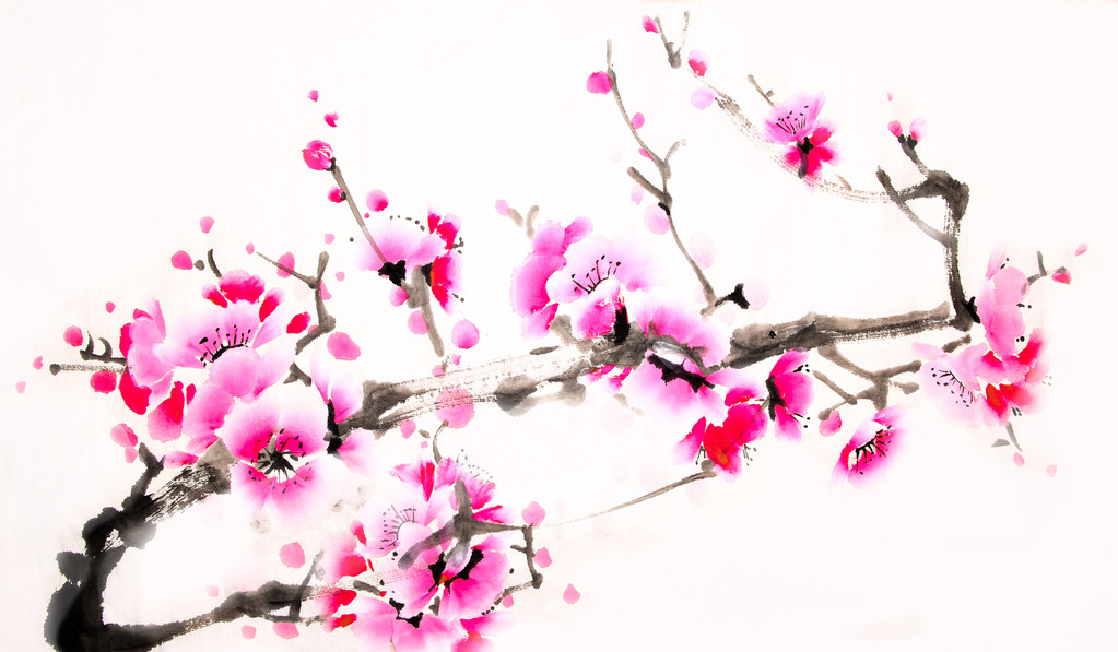 中国桜水彩画 - 写真・画像