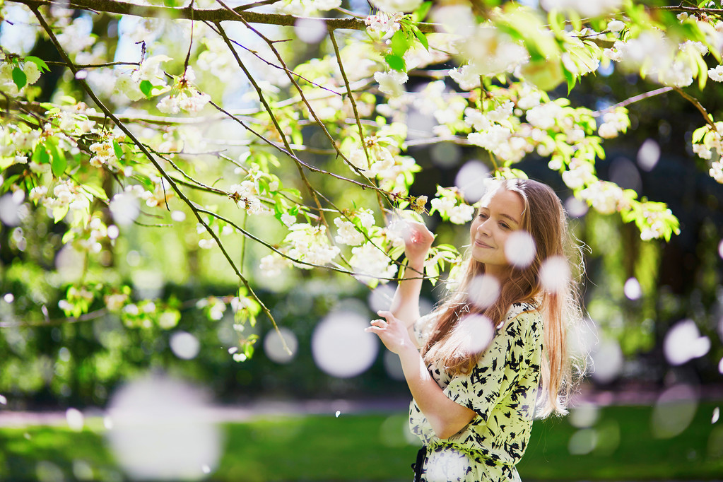 Дівчина в саду вишневого цвітіння на весняний день
 - Фото, зображення