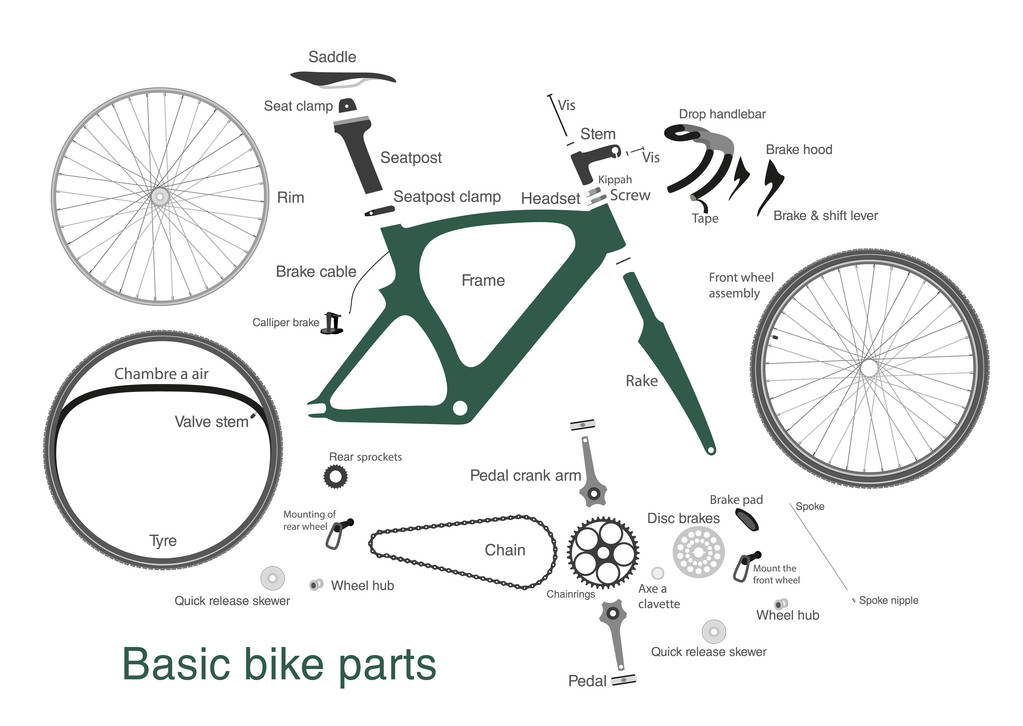 Infografía de las principales piezas de bicicleta
 - Vector, Imagen