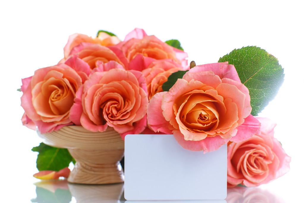 kimppu vaaleanpunaisia ruusuja - Valokuva, kuva