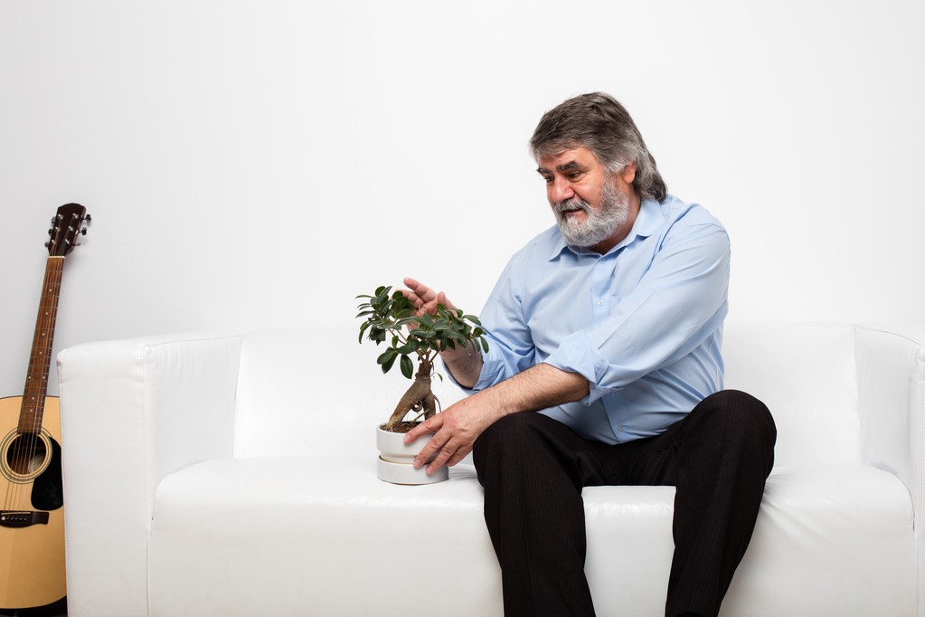 Samotni mężczyźni Starzy na białej kanapie z bonsai - Zdjęcie, obraz