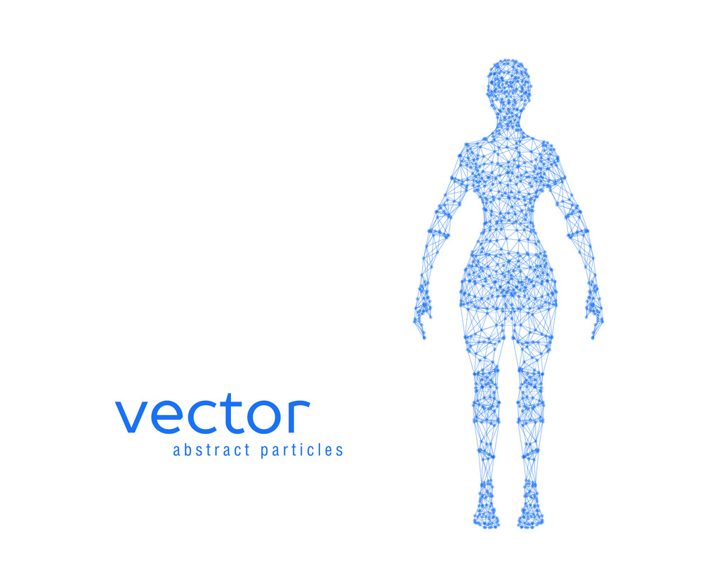 illustration vectorielle du corps féminin - Vecteur, image