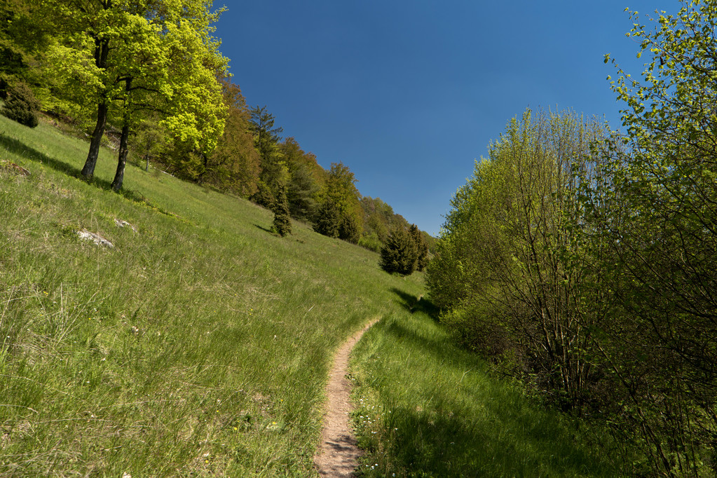 Altmuehltal Panorama Traililla Saksassa
 - Valokuva, kuva
