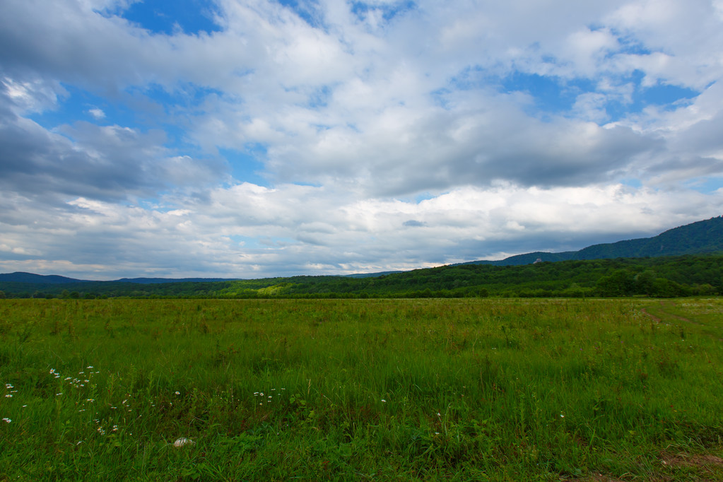 groen veld en blauwe lucht - Foto, afbeelding