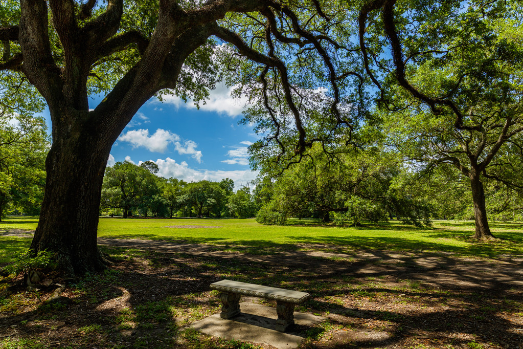 Audubon Park Nueva Orleans
 - Foto, imagen