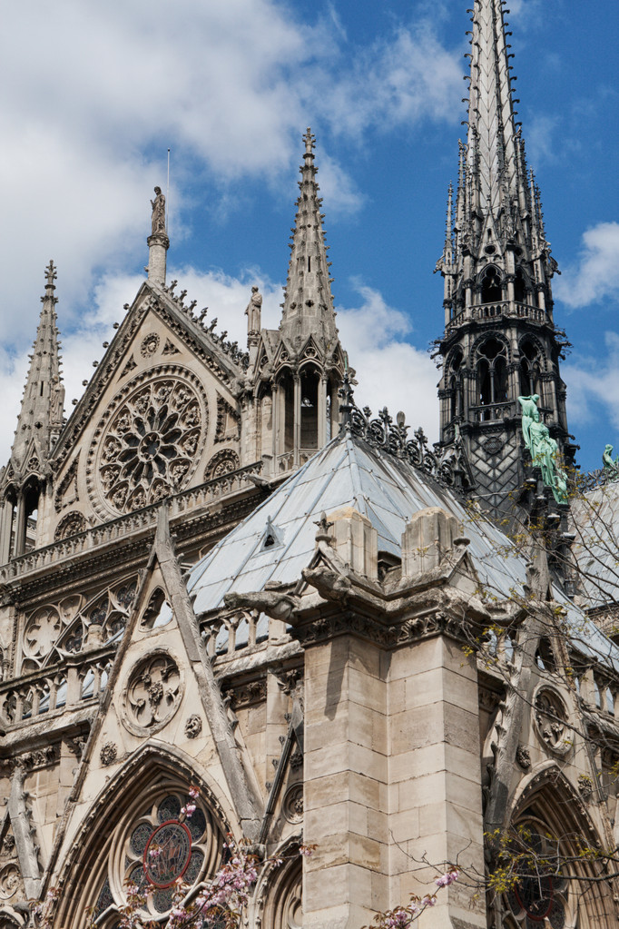 Notre Dame von Paris - Foto, Bild