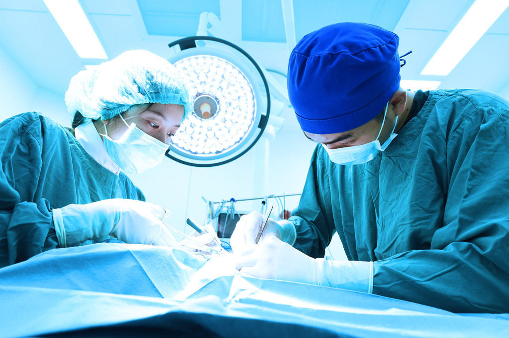 two veterinarian surgeons in operating room  - Photo, Image
