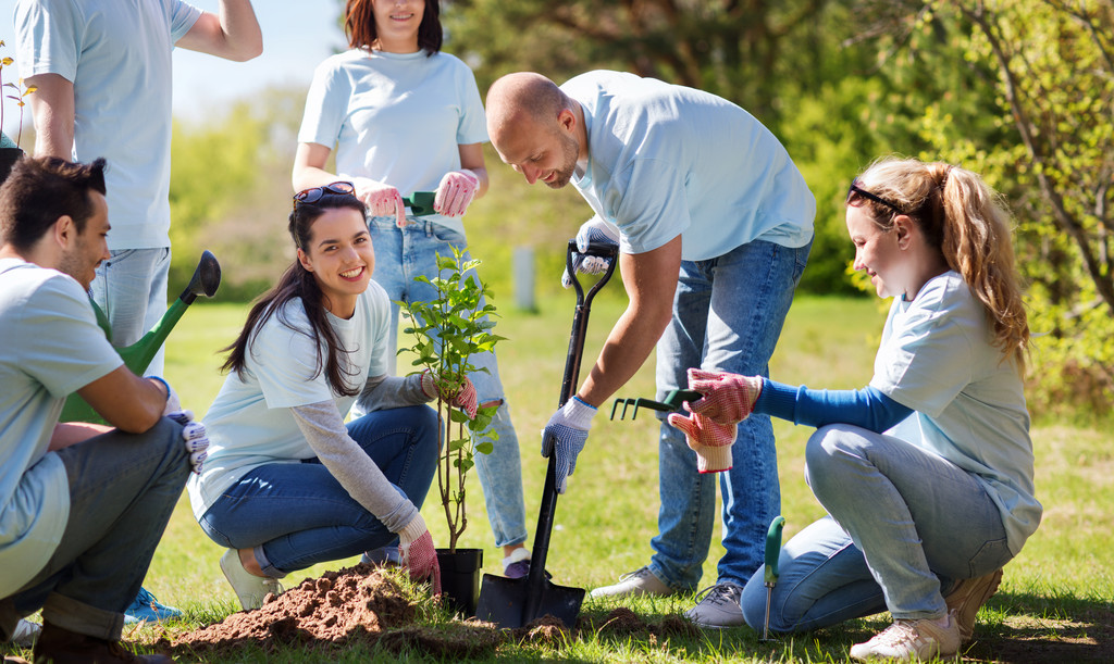 grupo de voluntarios plantando árboles en el parque - Foto, Imagen
