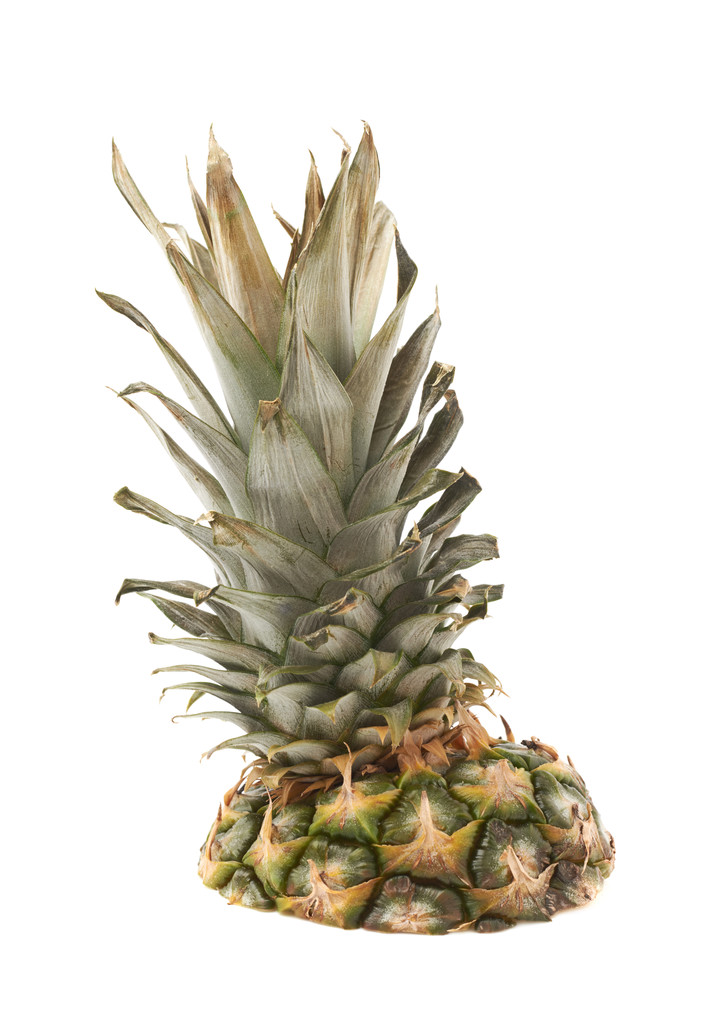 Beyaz arka plan üzerinde izole ananas kesme - Fotoğraf, Görsel