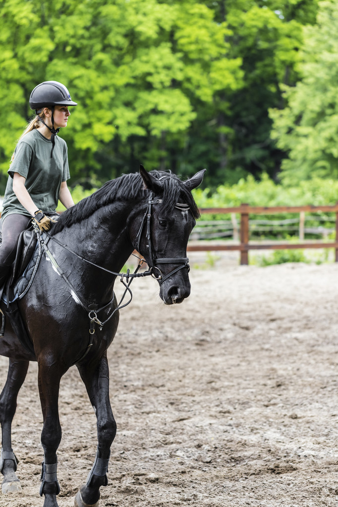tyttö urheilija ratsastaa hevosella
  - Valokuva, kuva