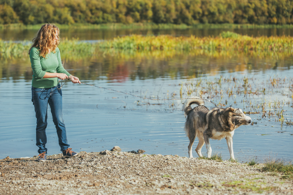 Frau mit Hund in Seenähe - Foto, Bild