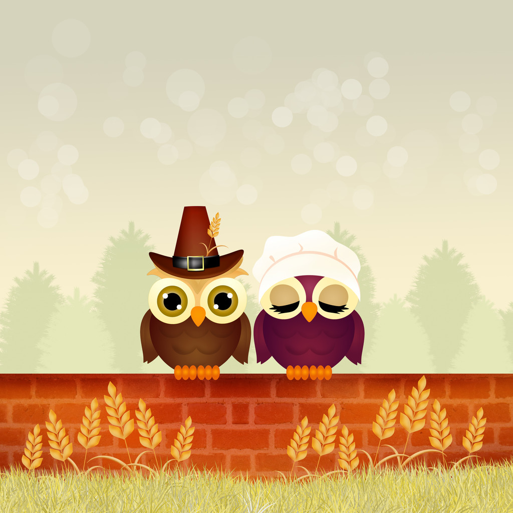 owls for Thanksgiving day - Photo, Image