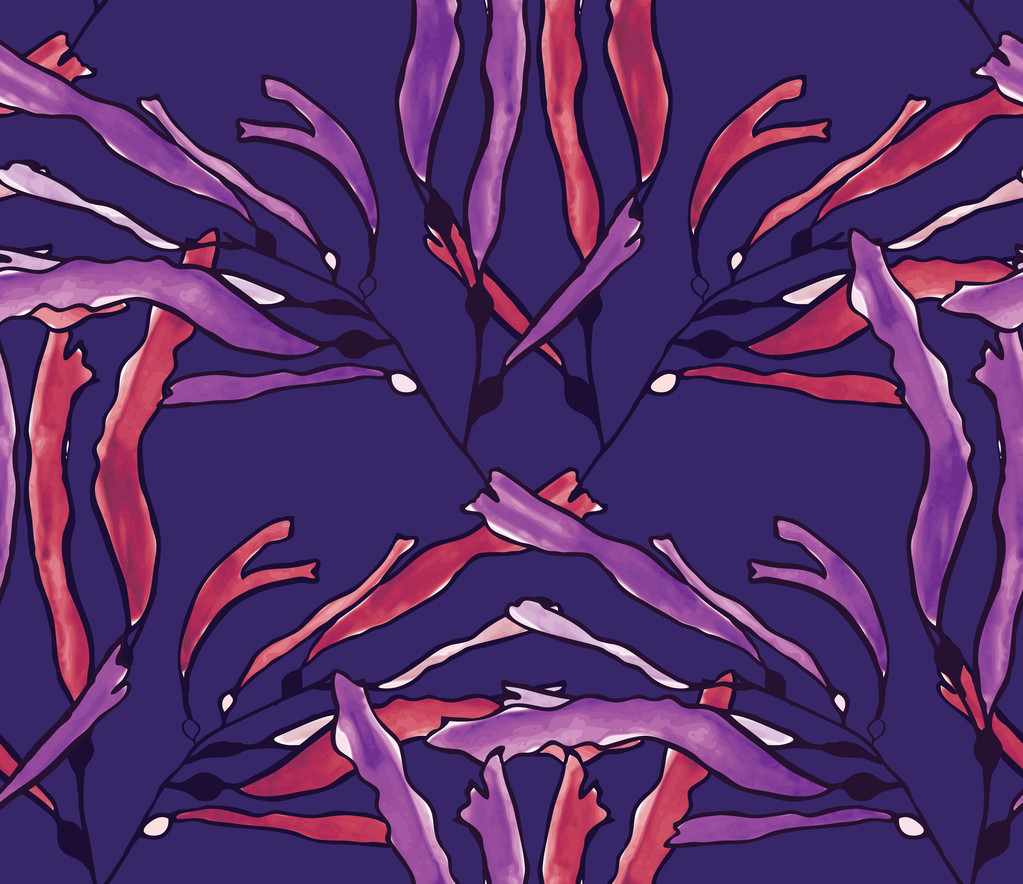 Rakkolevä merilevää violetti vesiväri violetti
 - Vektori, kuva