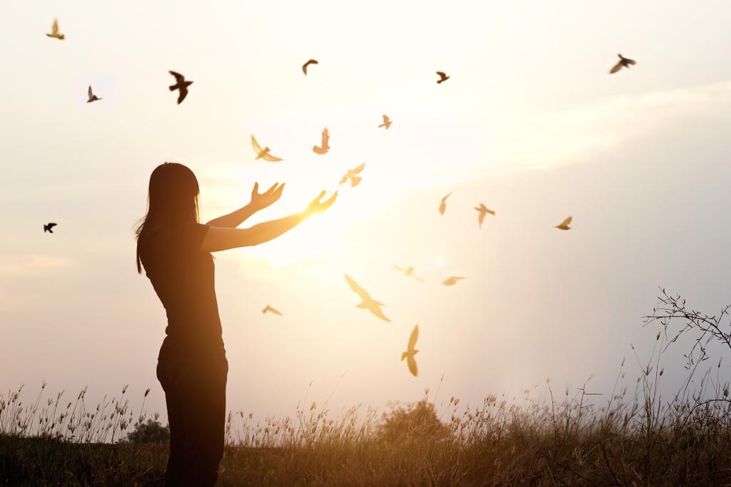 Ελεύθερη ζωή, ελεύθερο πουλί και γυναίκα απόλαυση της φύσης στο ηλιοβασίλεμα - Φωτογραφία, εικόνα