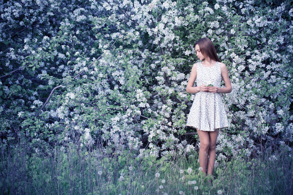 piękna dziewczyna w wiosennym ogrodzie - Zdjęcie, obraz