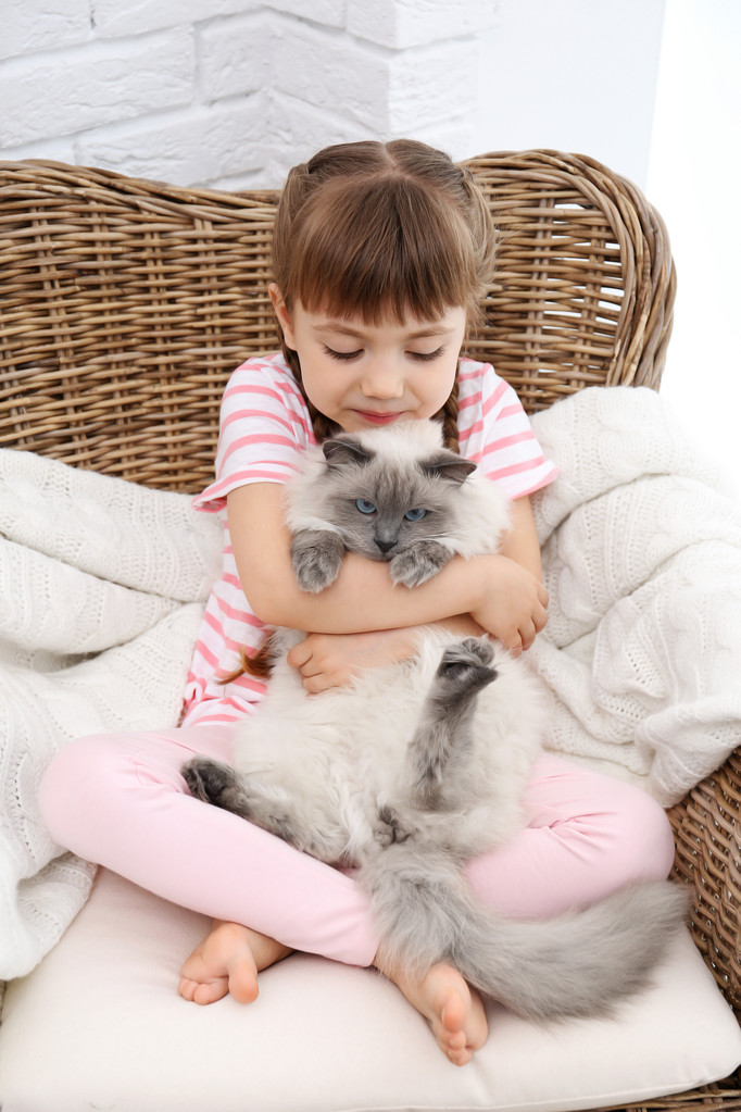 κοριτσάκι και γάτα  - Φωτογραφία, εικόνα