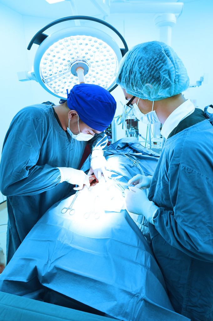 dva veterinární lékaři na operačním sále  - Fotografie, Obrázek
