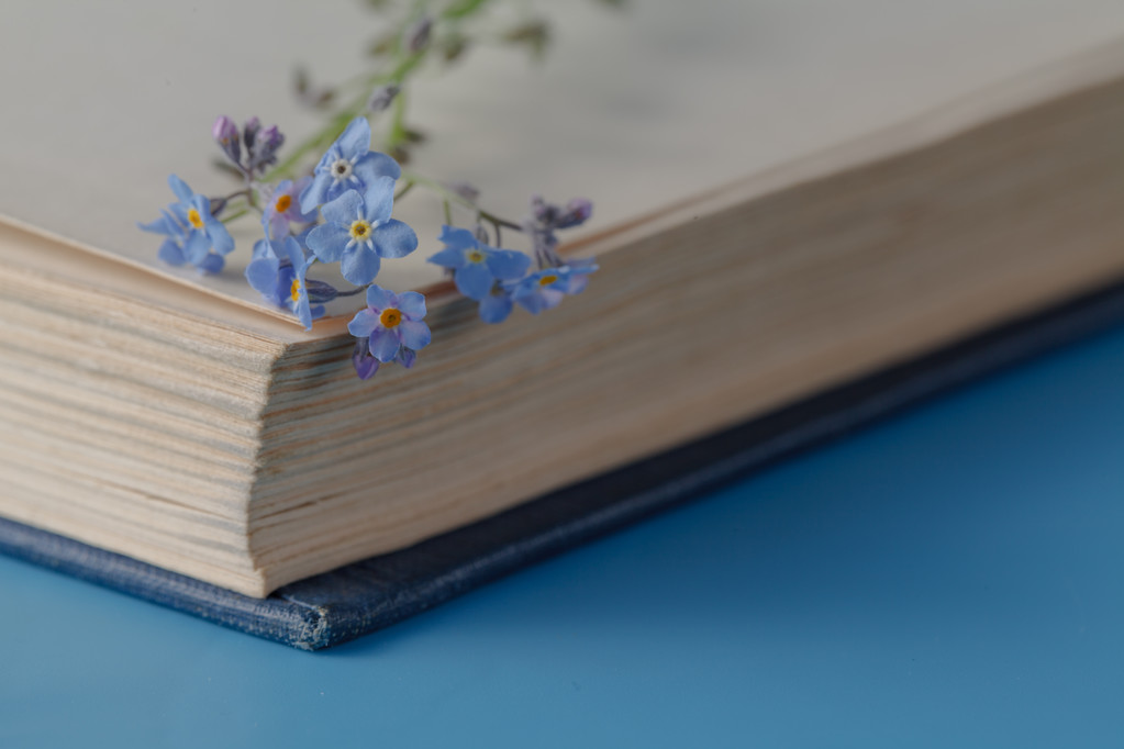 Mist-virág, és nagyon régi könyvet csomó - Fotó, kép