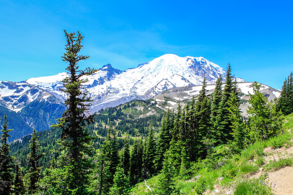 Summer vaellus Mount Rainier kansallispuisto näköalalla Mt Rainier
. - Valokuva, kuva