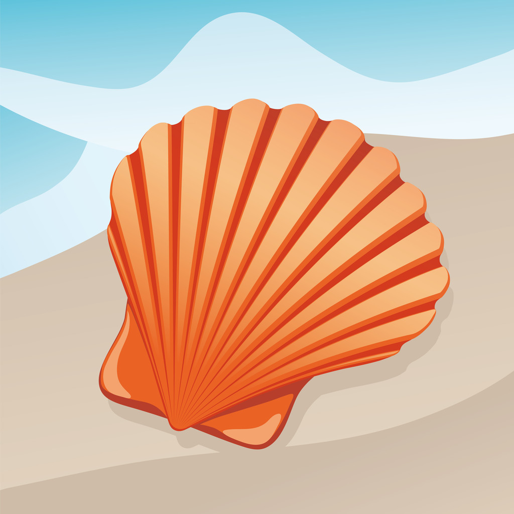A shell - Vector, Image