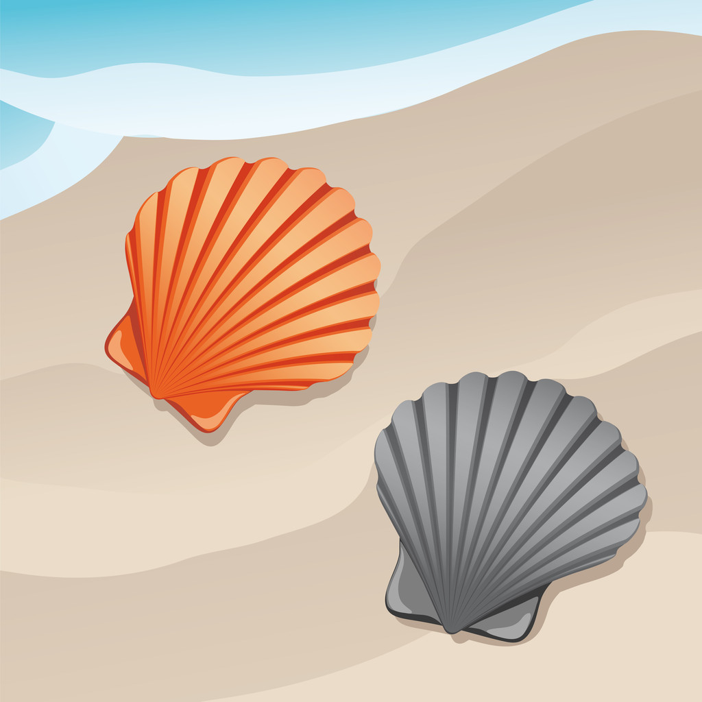 A shell - Vector, Image